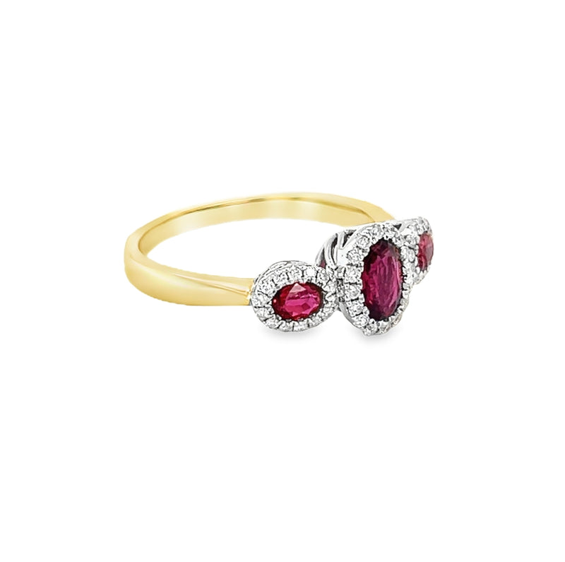 Ruby & Diamond 3 Stone Halo Ring 9ct Gold side