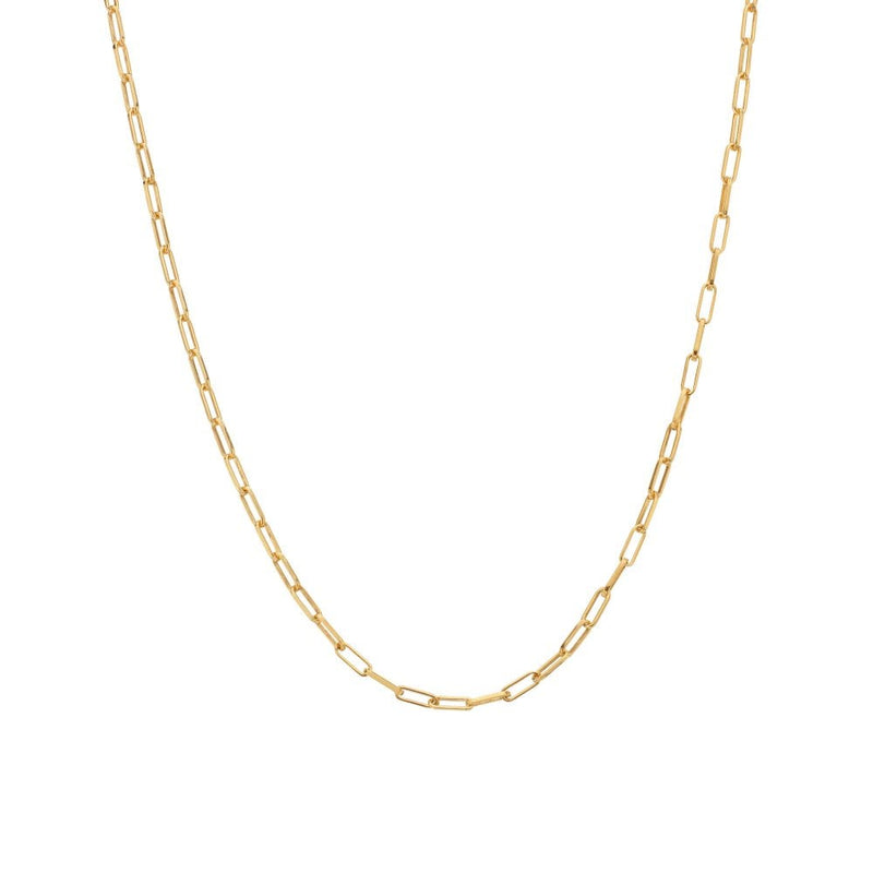 Hot Diamonds X Golden Edit Embrace Small Paperclip Chain CH120