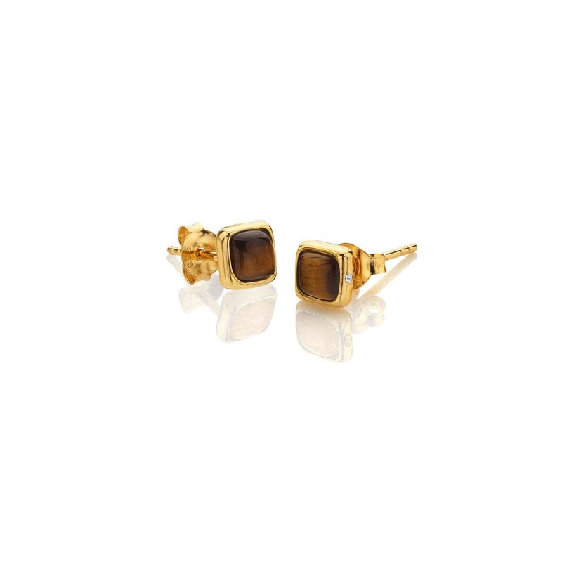 Hot Diamonds HDXGEM Square Earrings Tigers Eye DE772 side