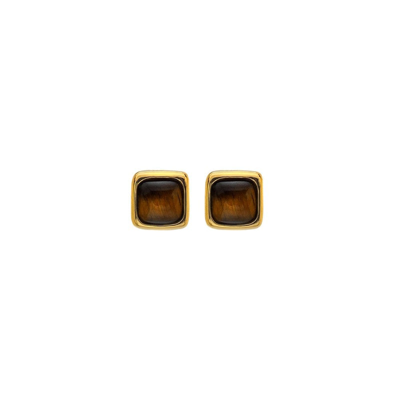 Hot Diamonds HDXGEM Square Earrings Tigers Eye DE772 front