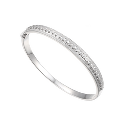 Amore Titanic Silver & CZ Bangle 9244